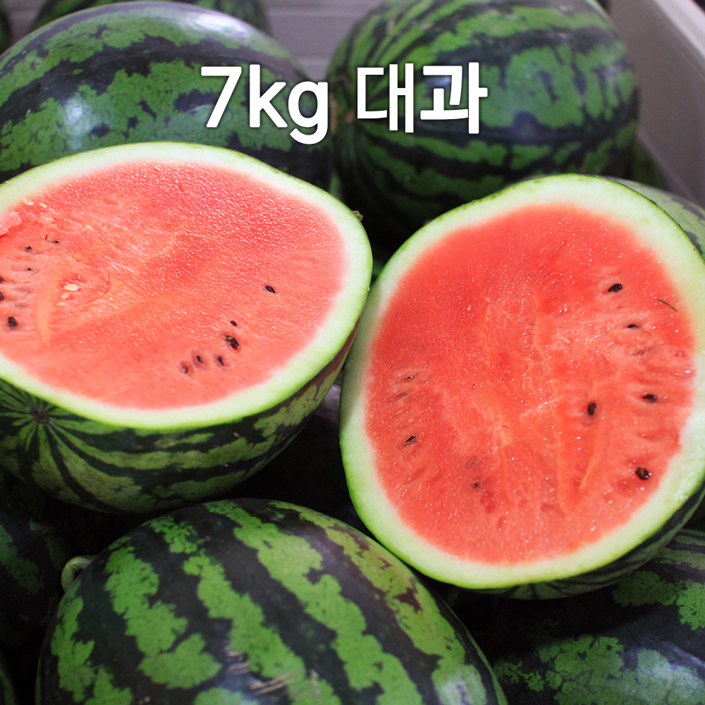 1682309207 thumbnail