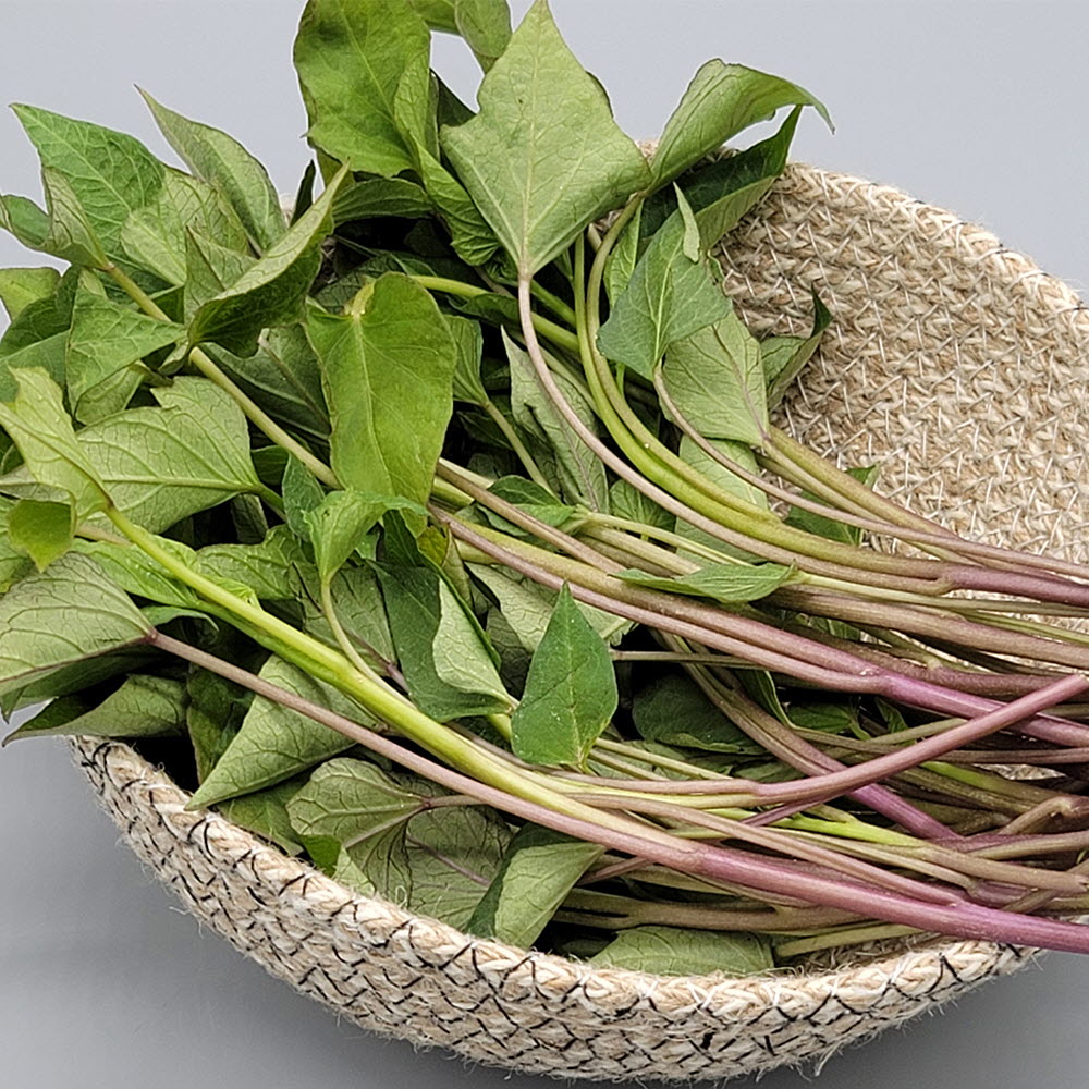 1682324978 thumbnail