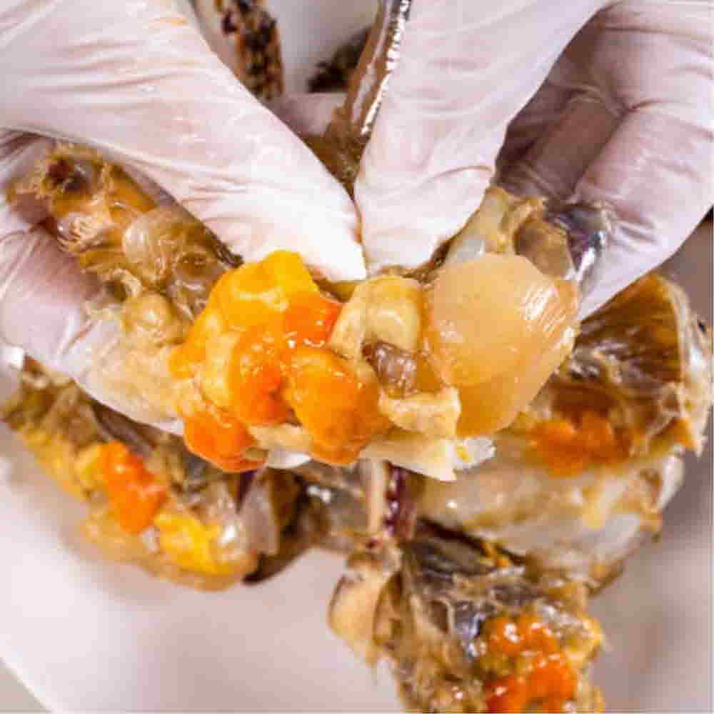 1682405014 thumbnail