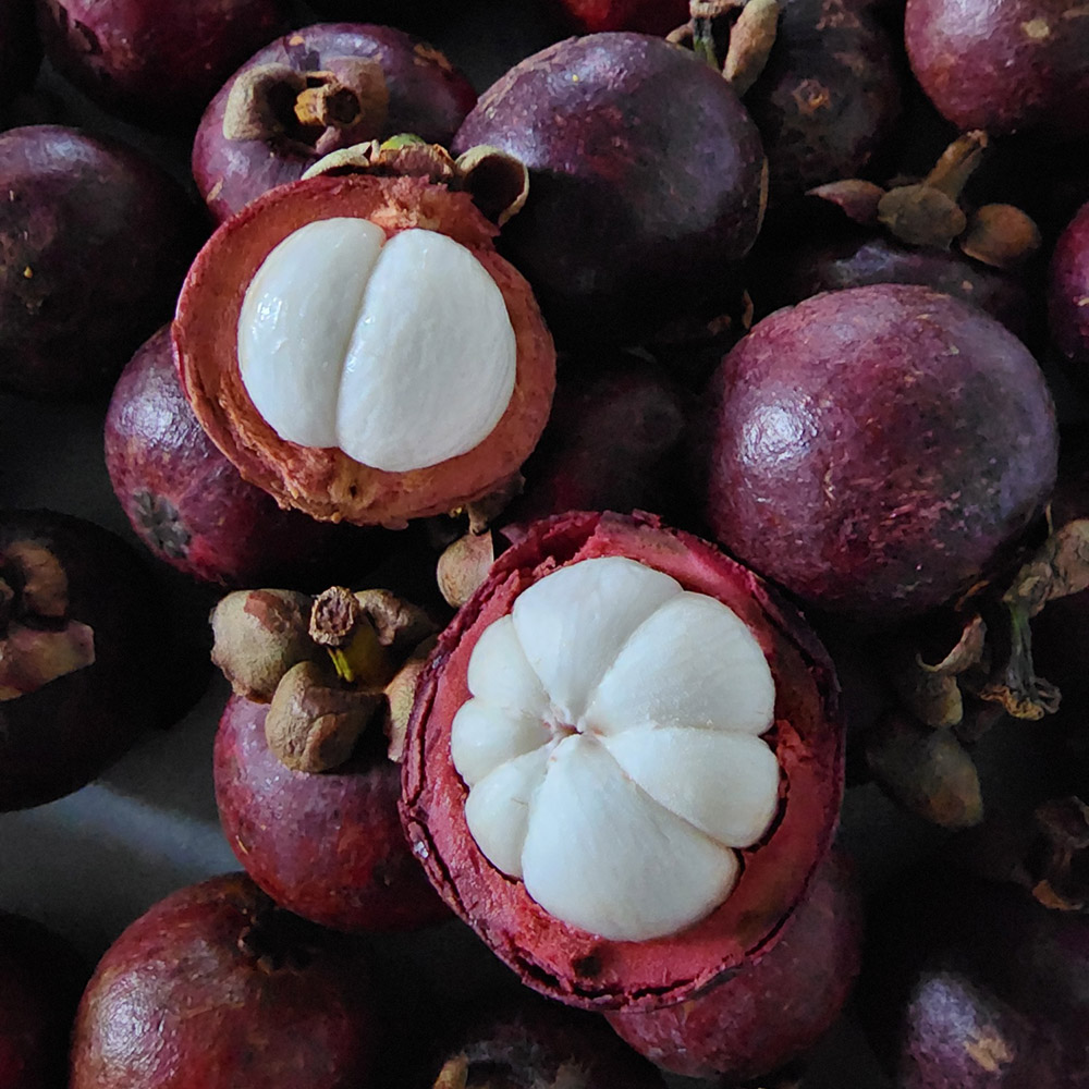 1682405542 thumbnail