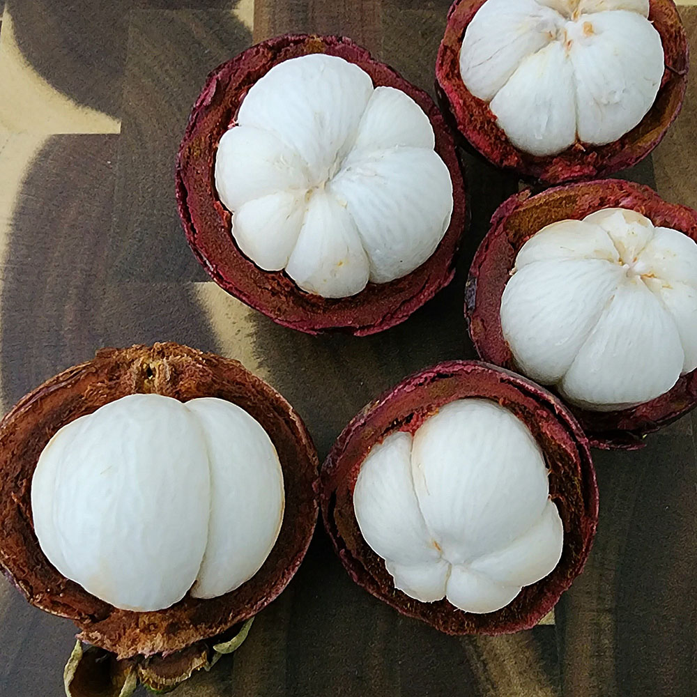 1682405544 thumbnail