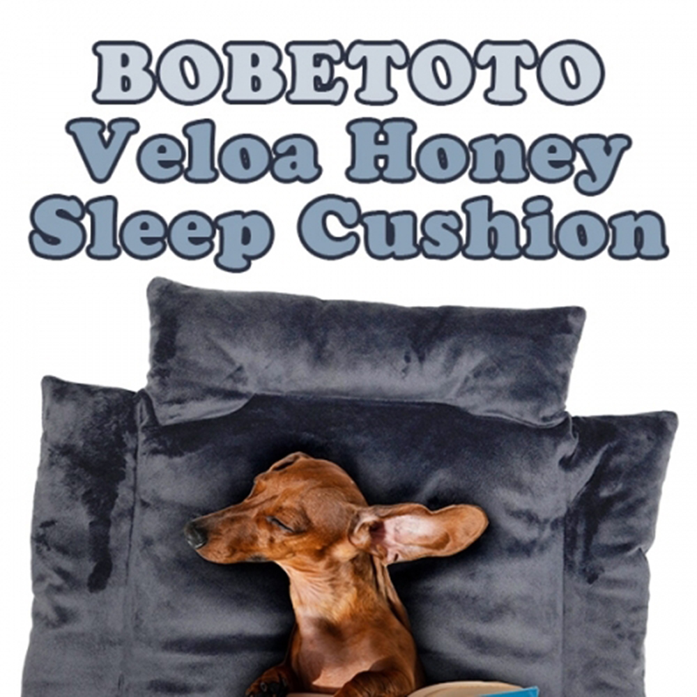 1682652875 thumbnail