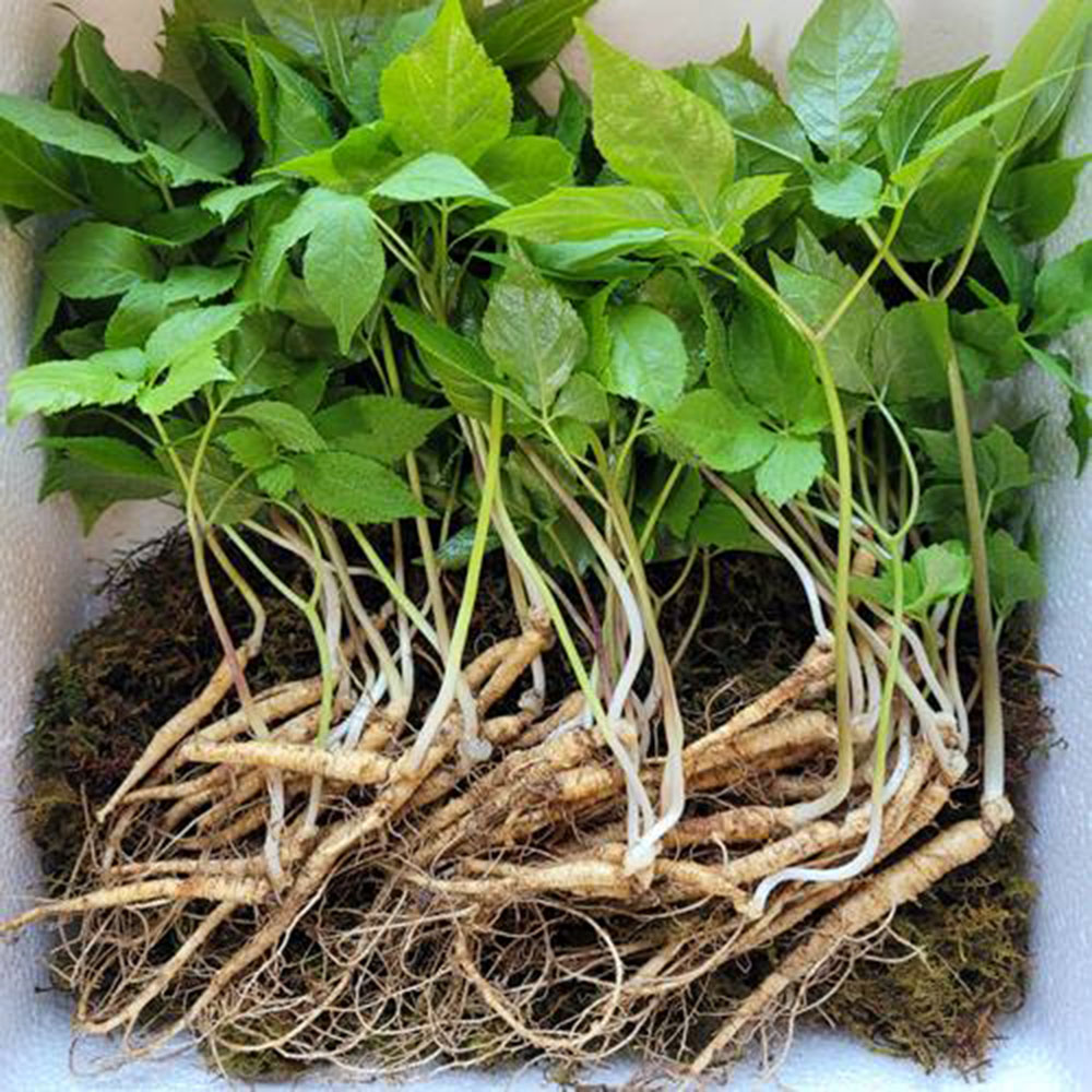 1682667952 thumbnail