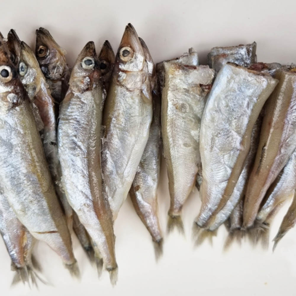 1683014649 thumbnail