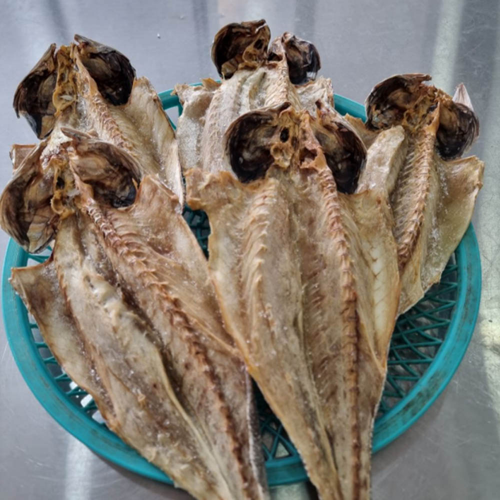 1683014657 thumbnail