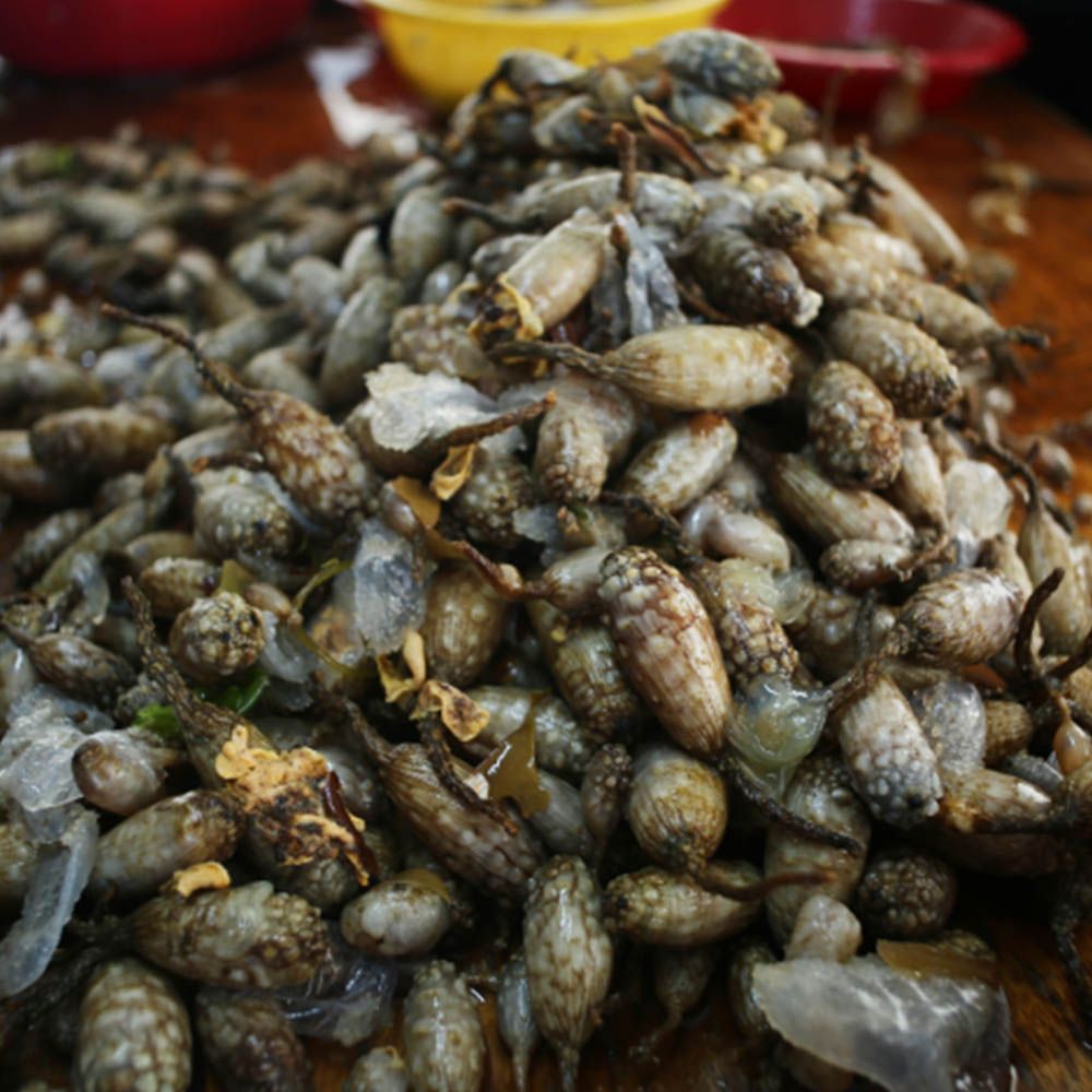 1683014659 thumbnail