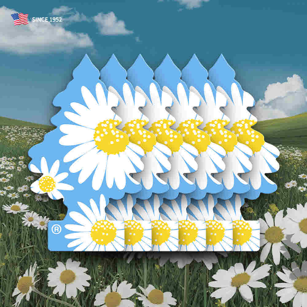 1683015552 thumbnail