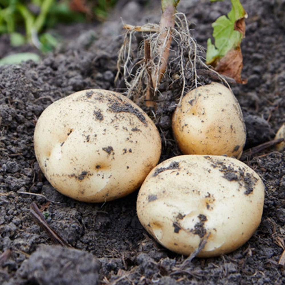 1683530696 thumbnail