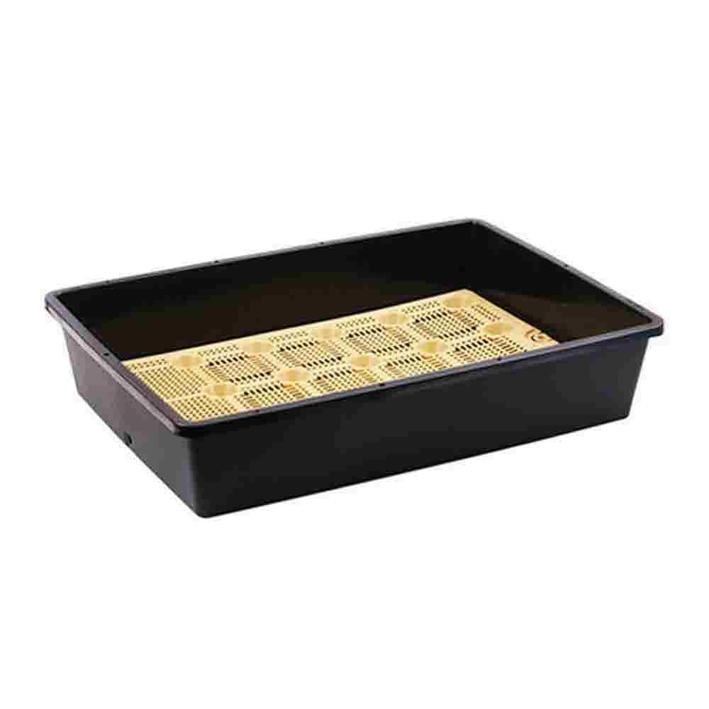 1683532701 thumbnail