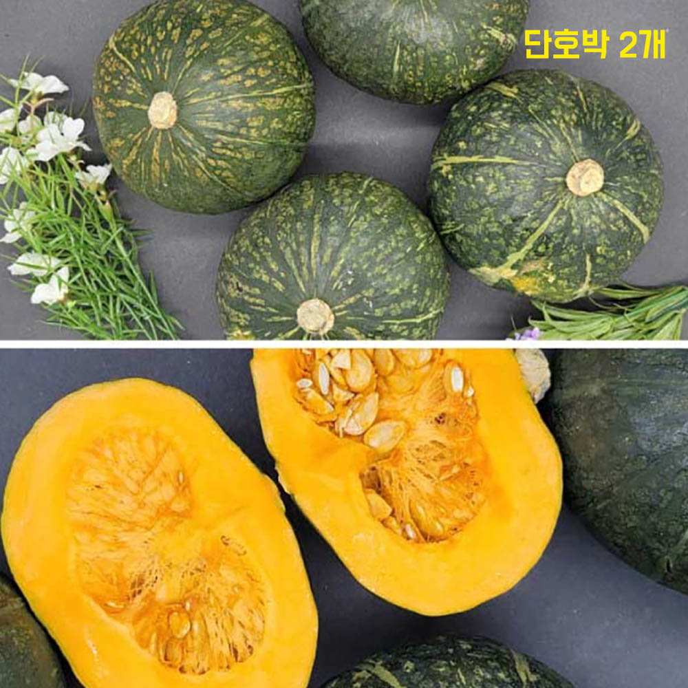 1683618075 thumbnail