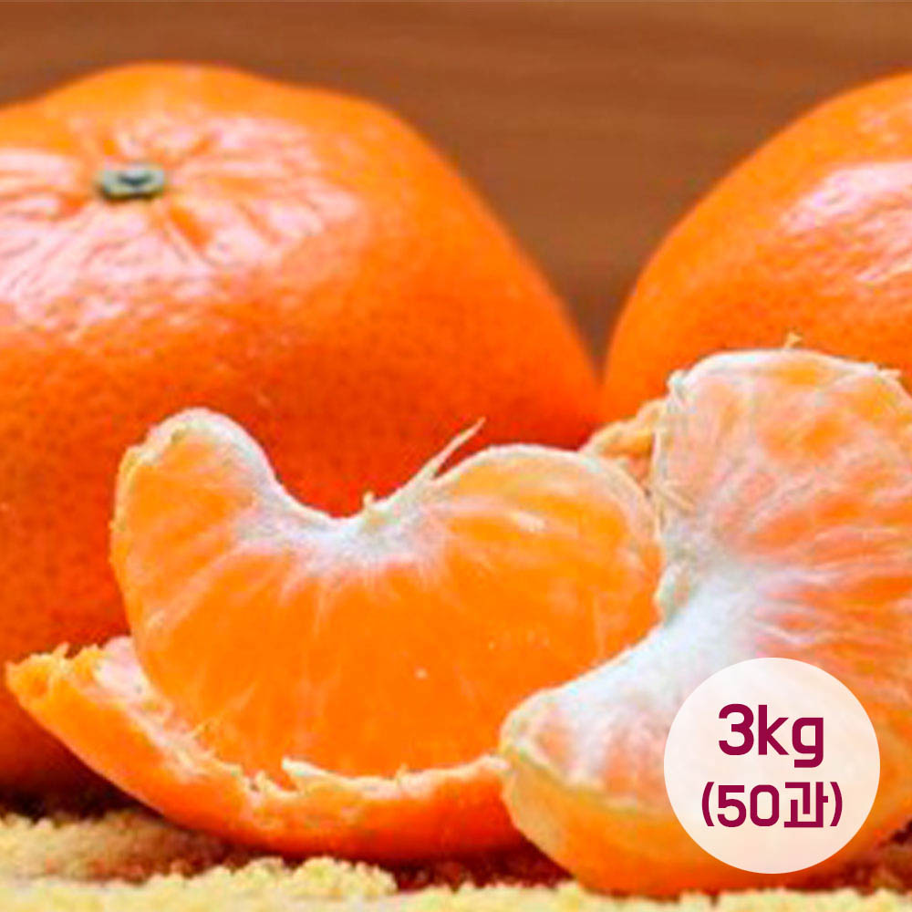 1683618085 thumbnail