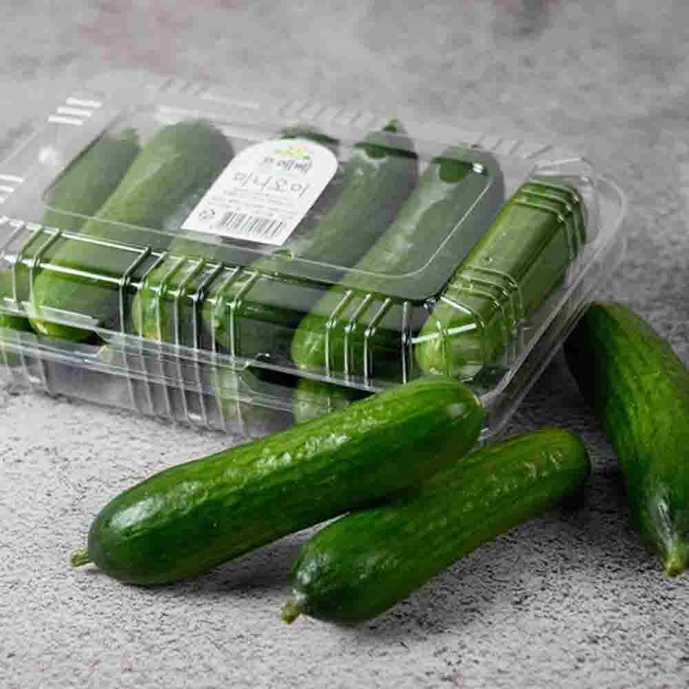 1683707948 thumbnail