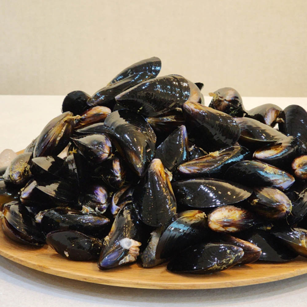 1684114474 thumbnail