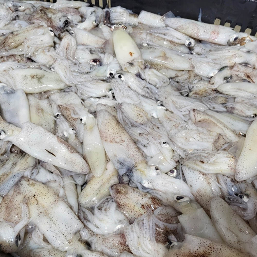 1684114475 thumbnail