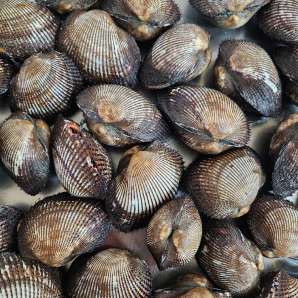 1684114477 thumbnail