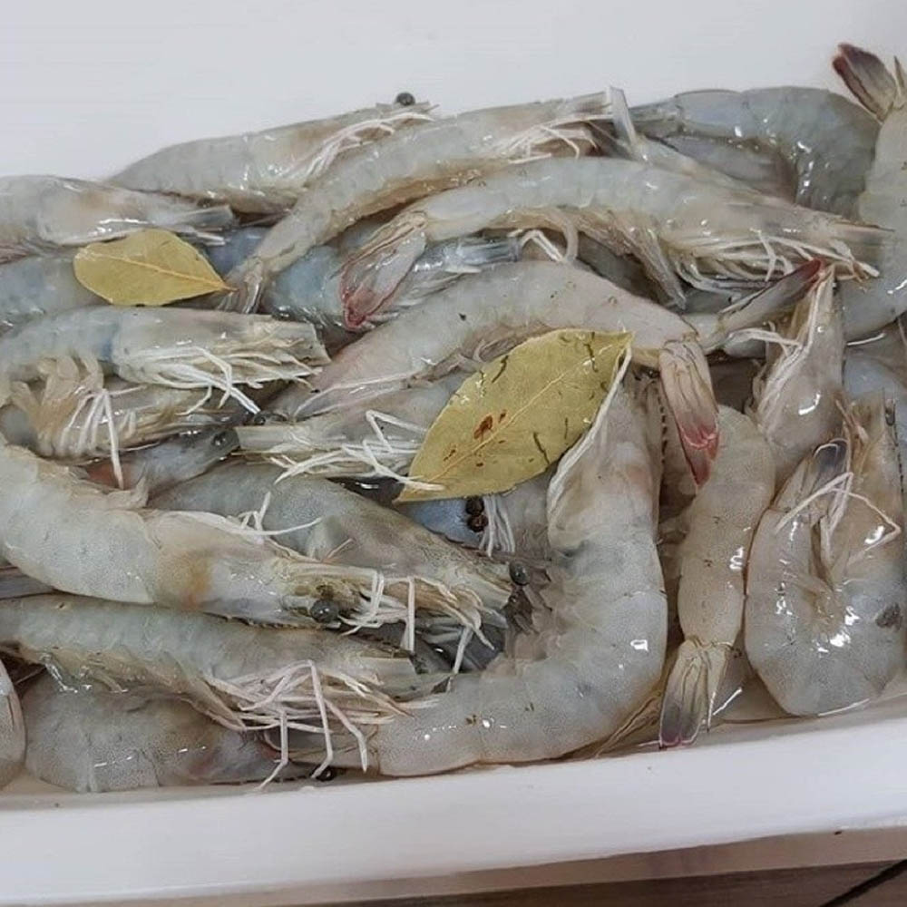 1684114479 thumbnail