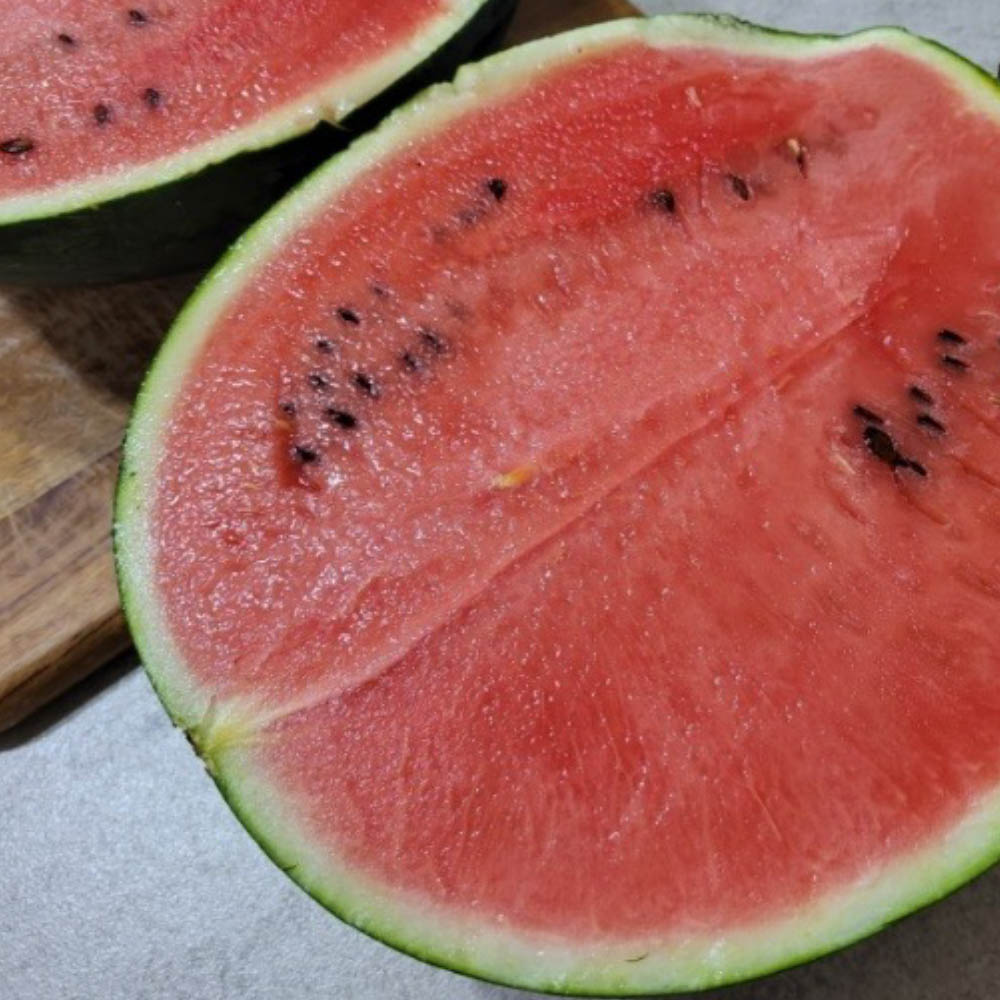 1684116564 thumbnail