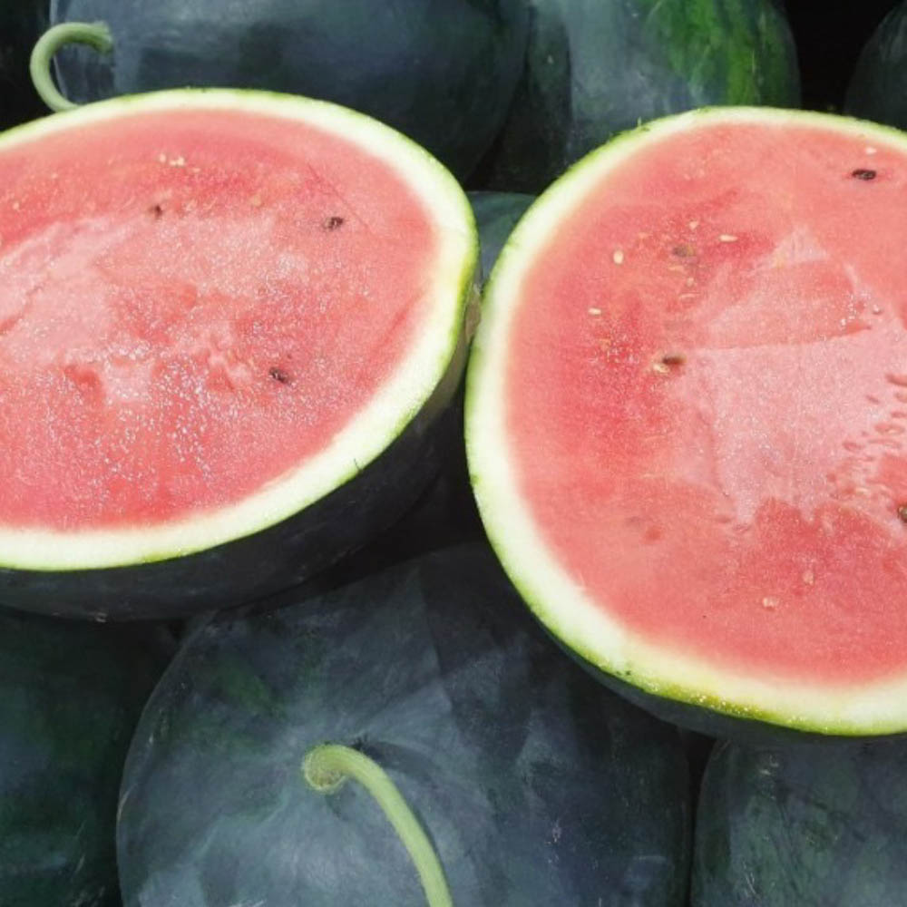 1684116565 thumbnail