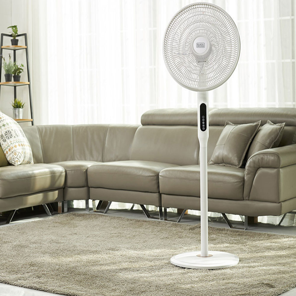 1684392751 thumbnail