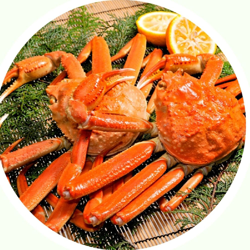 1684465641 thumbnail