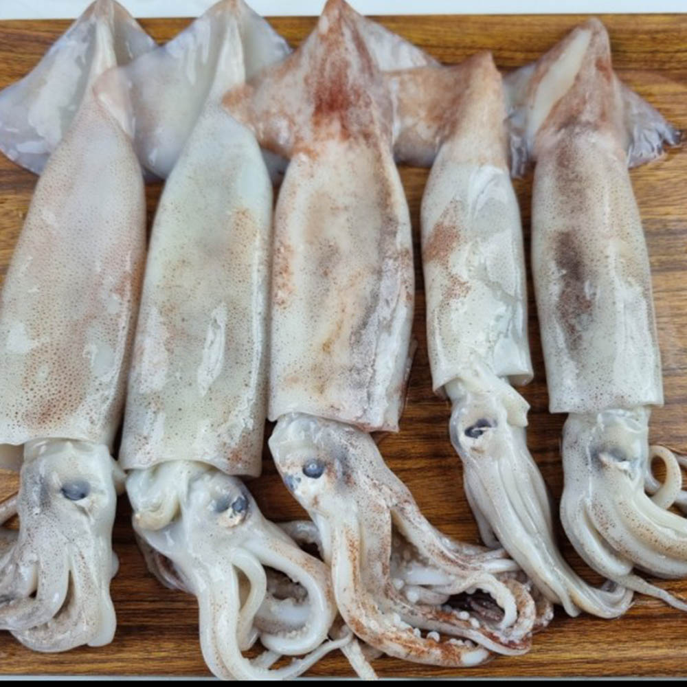 1684478815 thumbnail