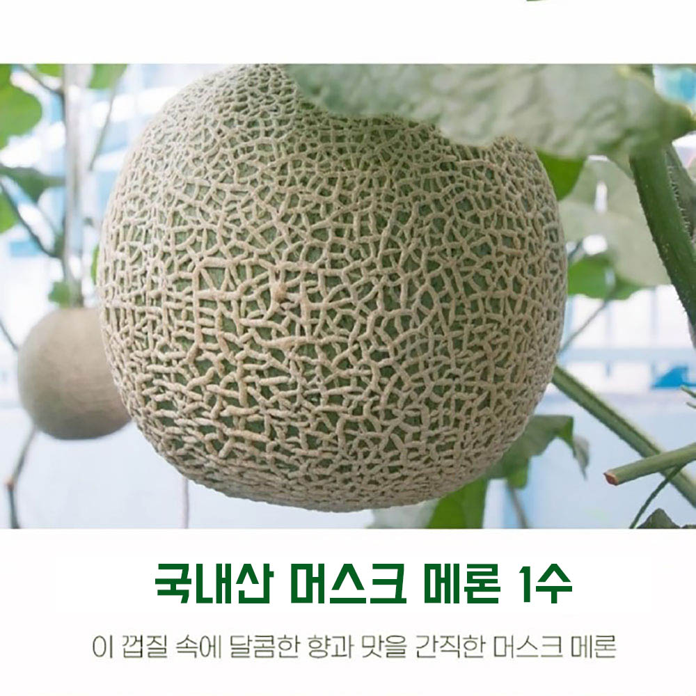 1684827568 thumbnail