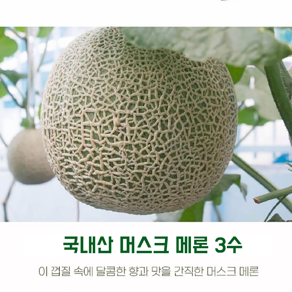 1684827570 thumbnail