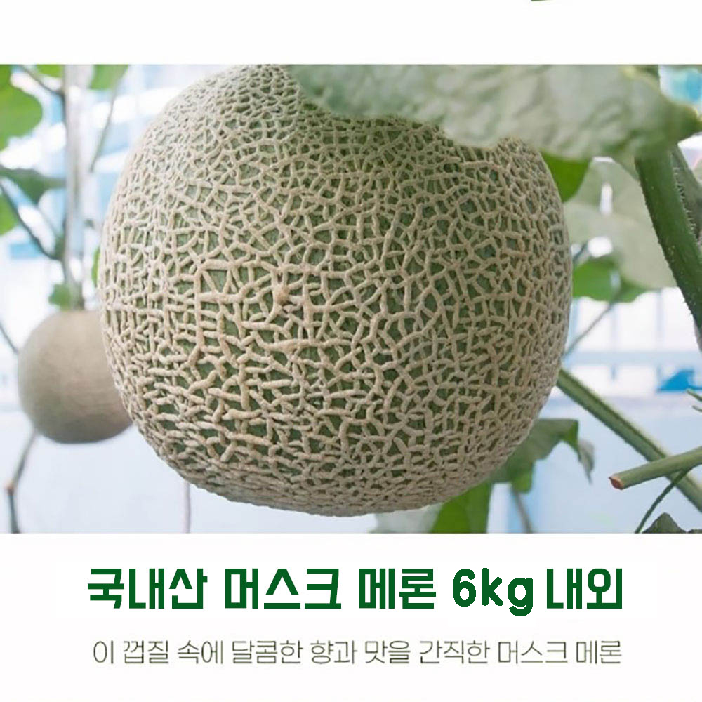 1684827572 thumbnail