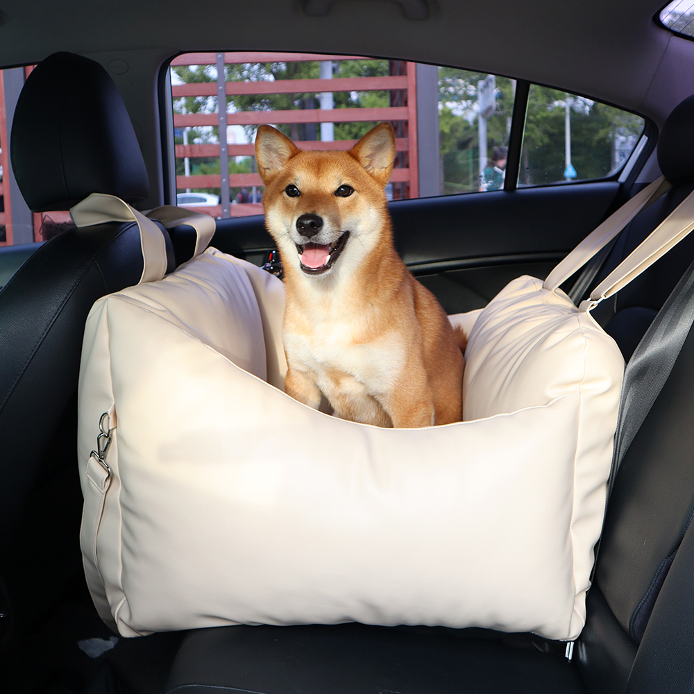 1685954955 thumbnail