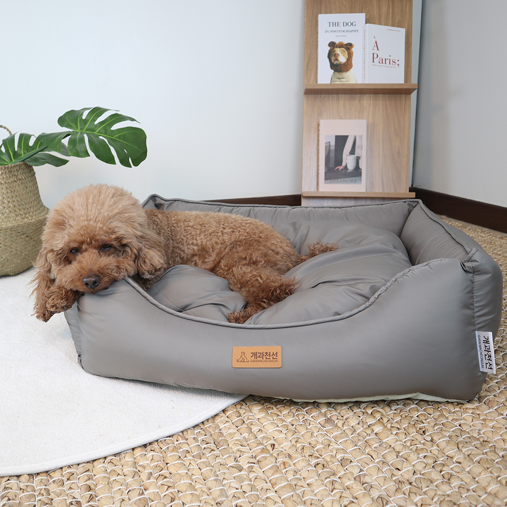 1685954957 thumbnail