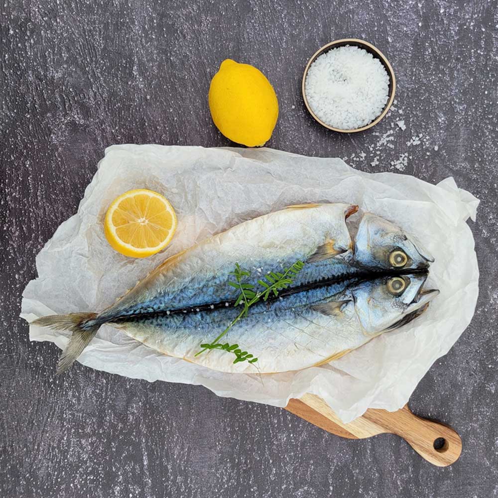 1686537005 thumbnail