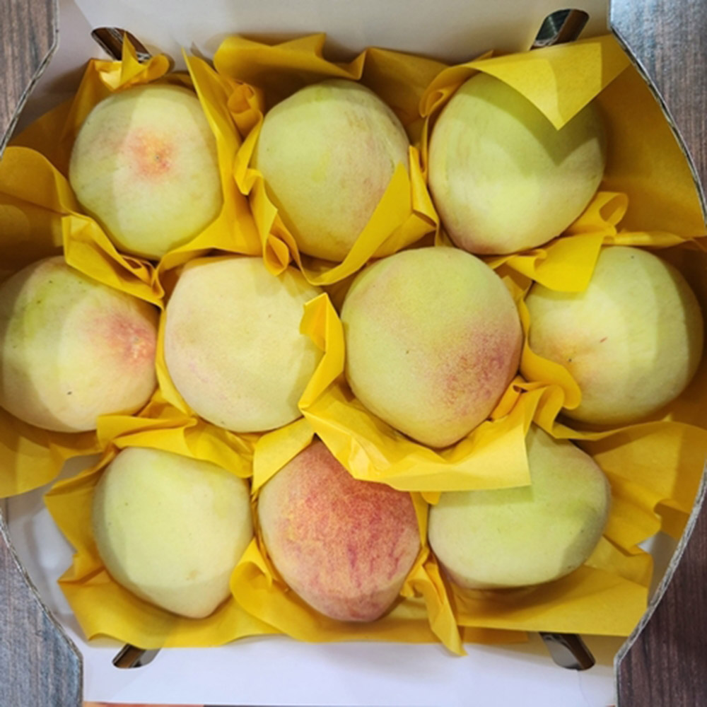 1686550012 thumbnail