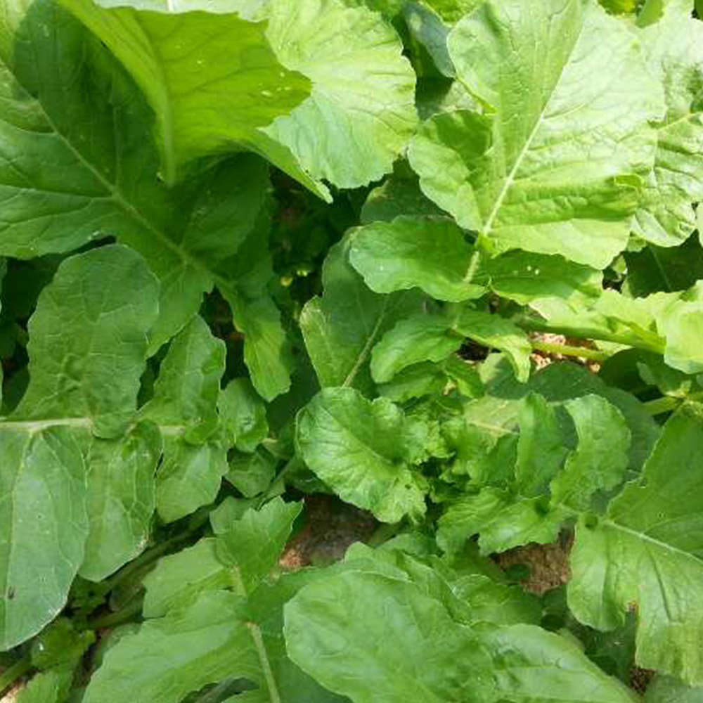 1686550013 thumbnail