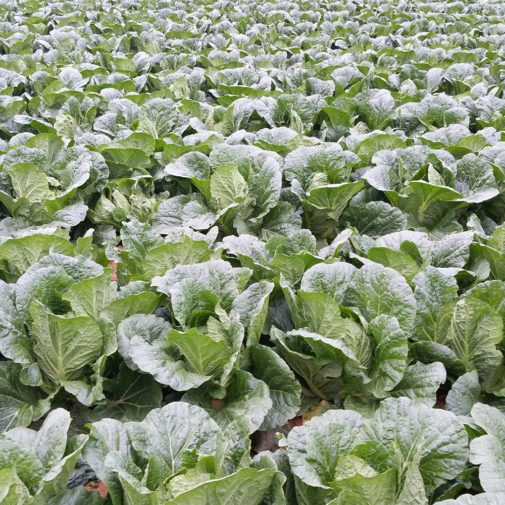 1686550015 thumbnail