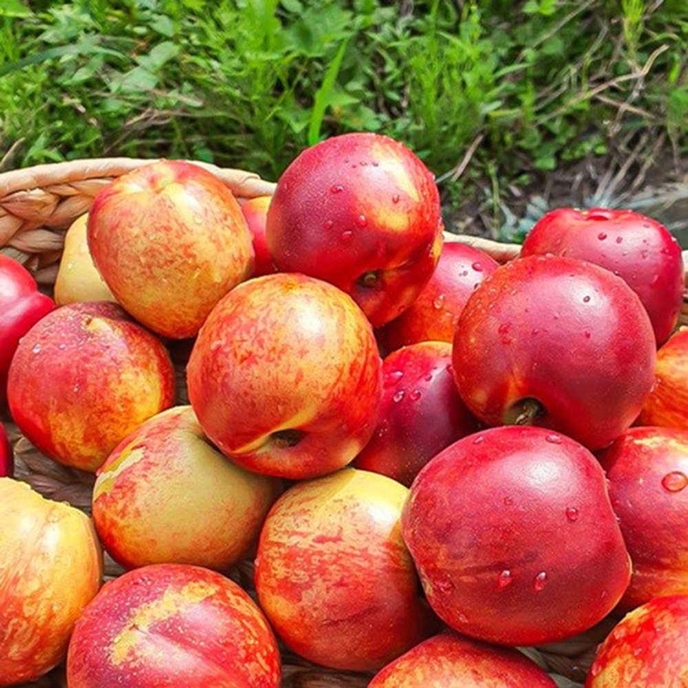 1686550019 thumbnail