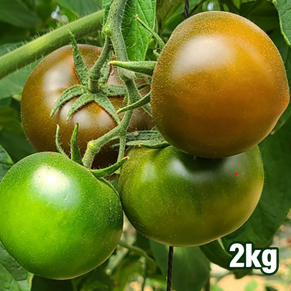 1686635463 thumbnail