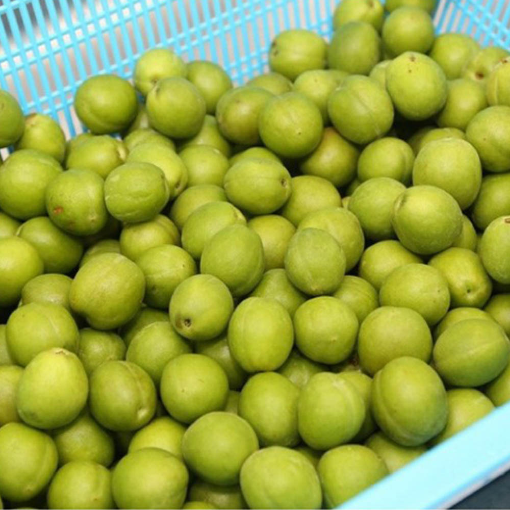 1686635487 thumbnail