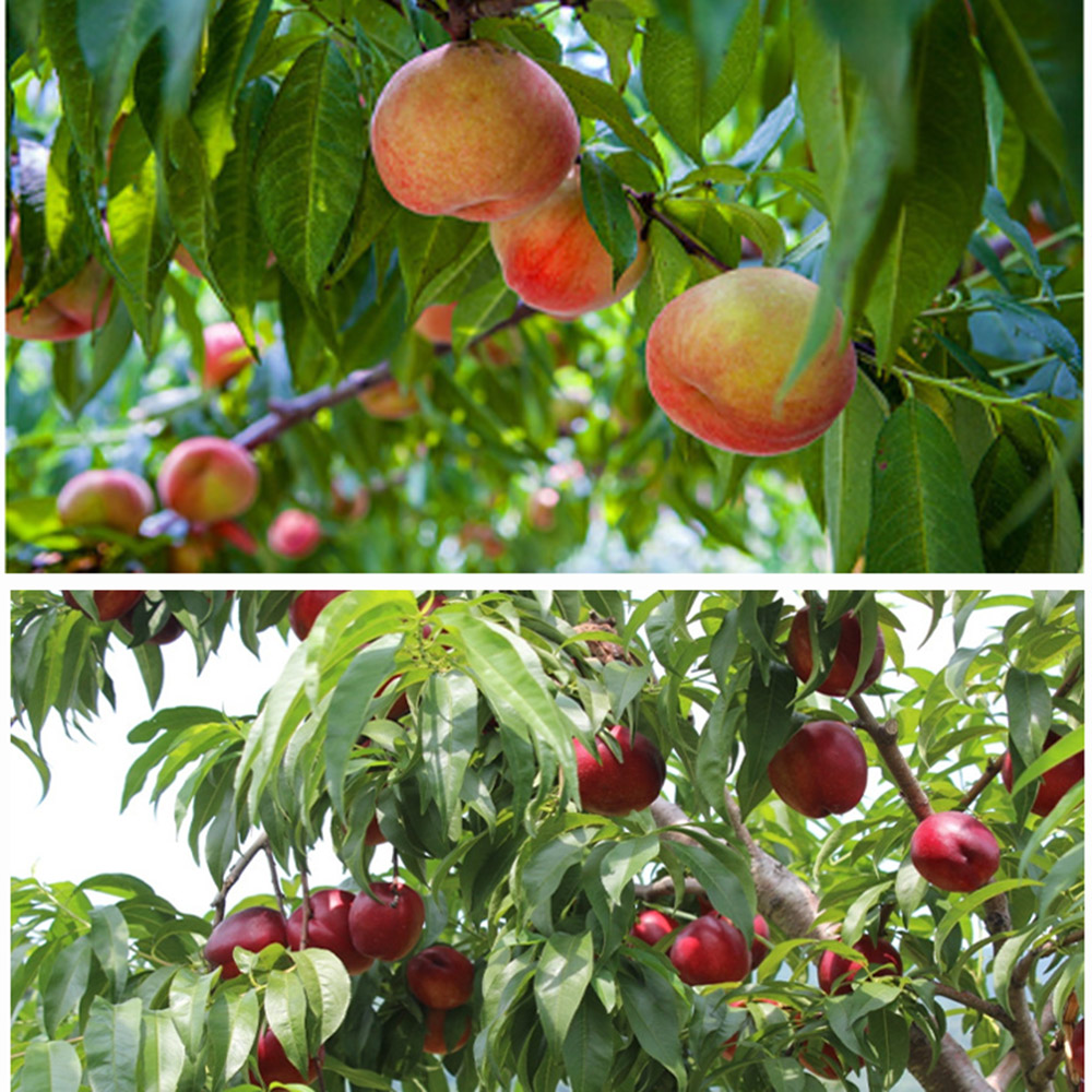 1686729086 thumbnail