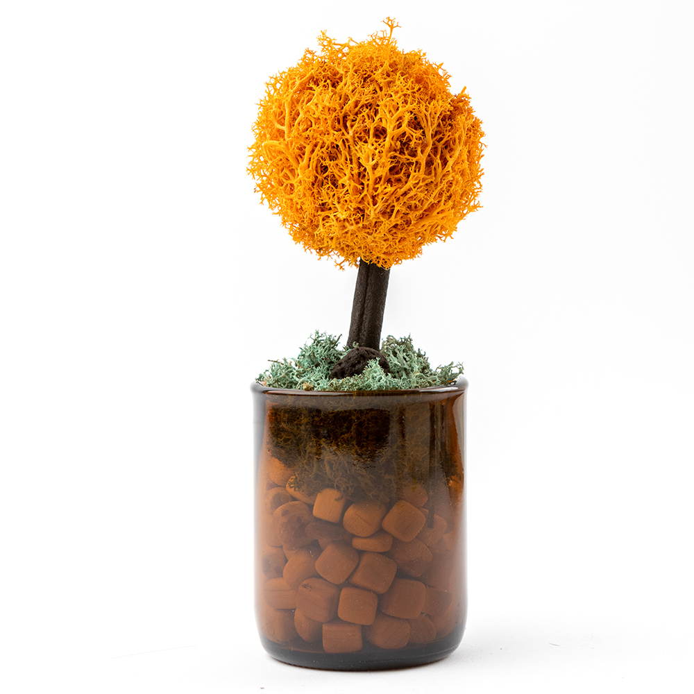 1686729826 thumbnail