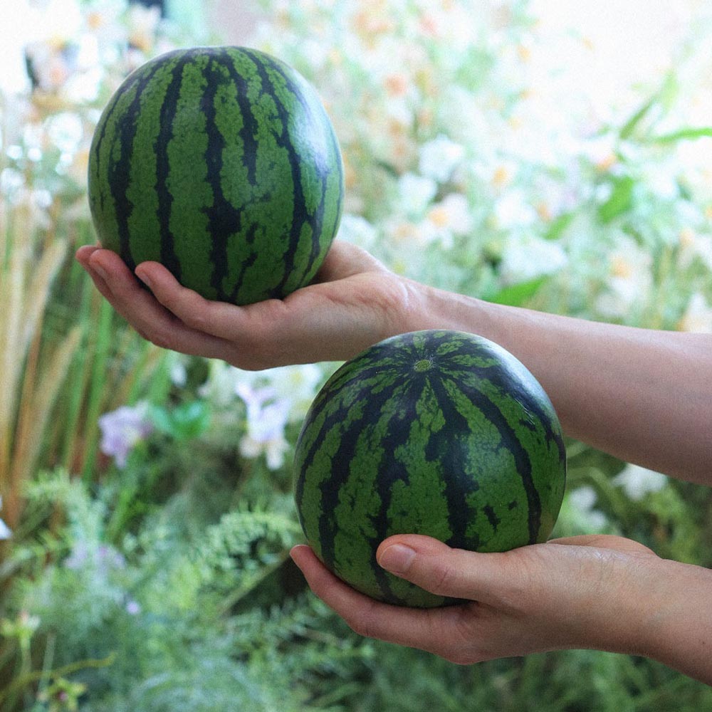 1686802844 thumbnail