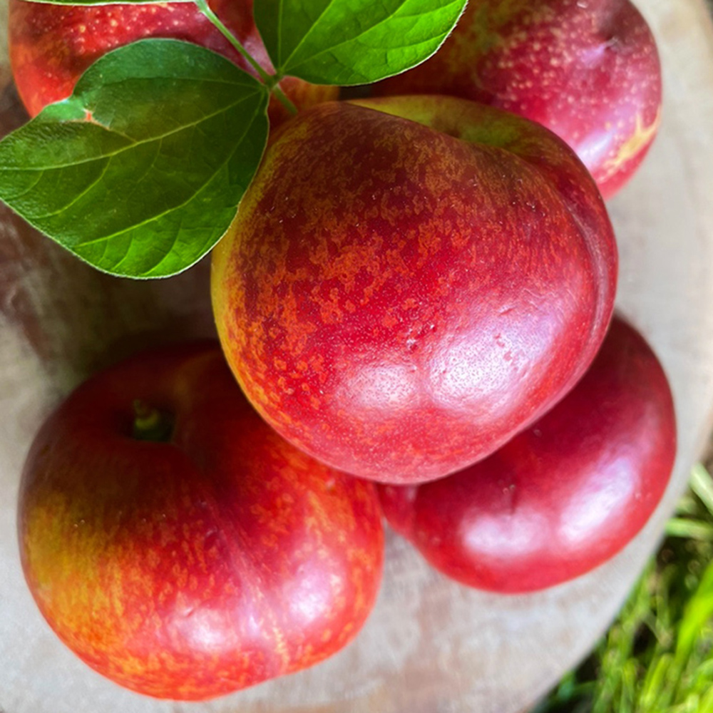 1687239934 thumbnail