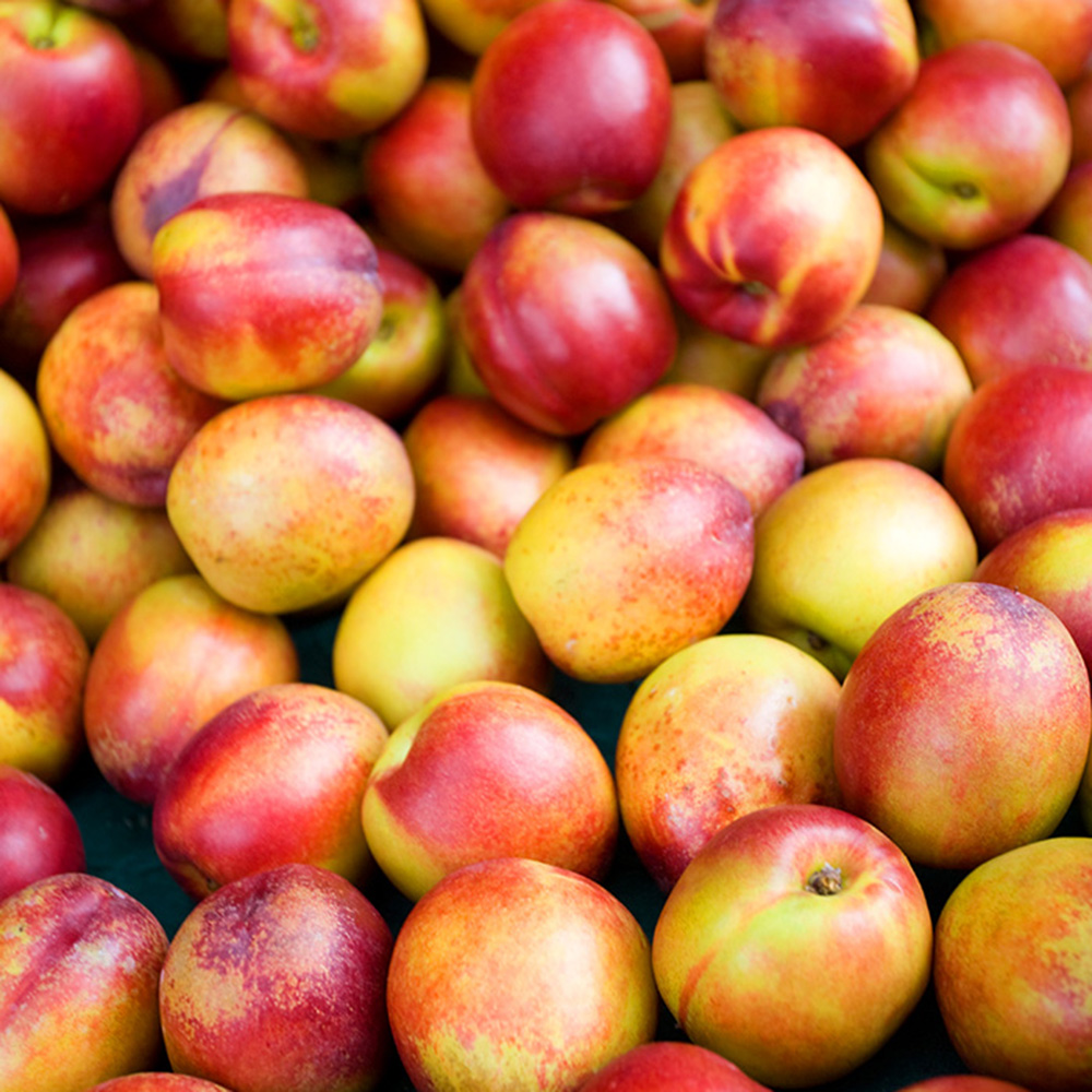 1687239935 thumbnail