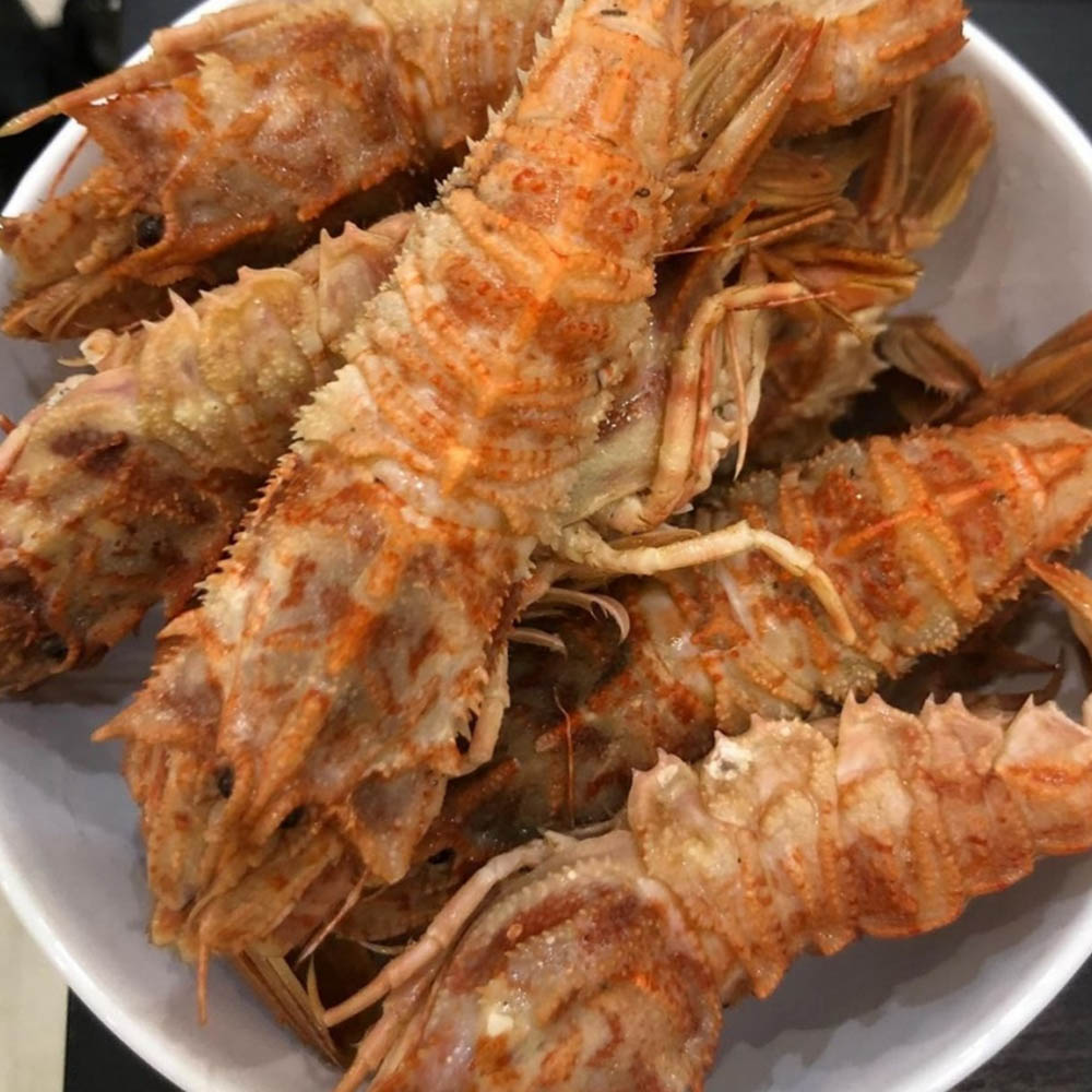 1687496343 thumbnail