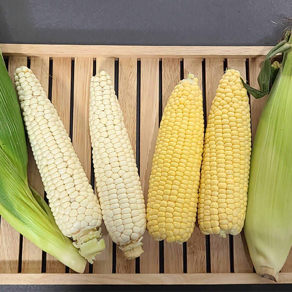 1687496344 thumbnail