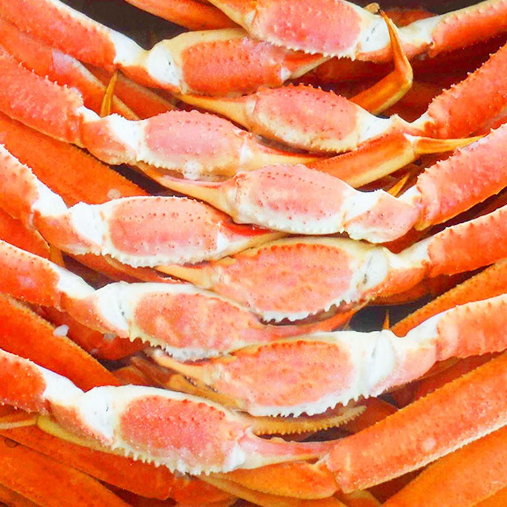 1687749992 thumbnail