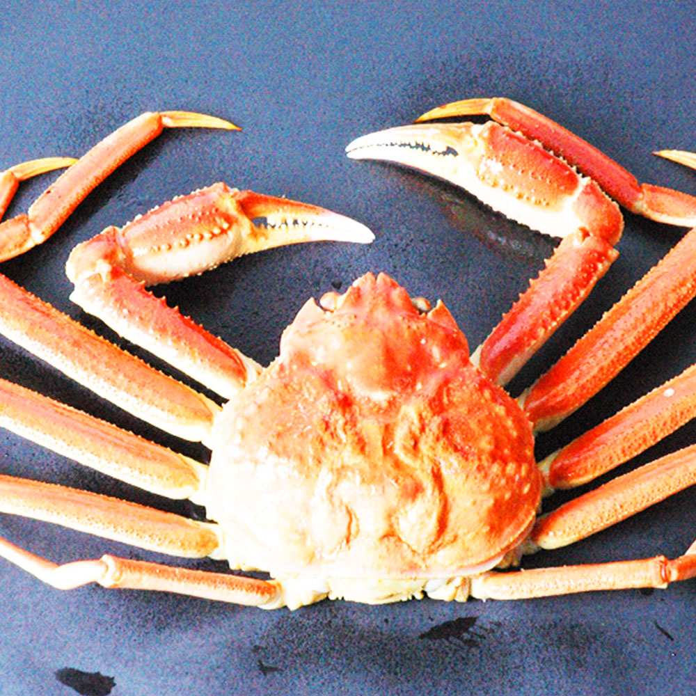 1687749993 thumbnail