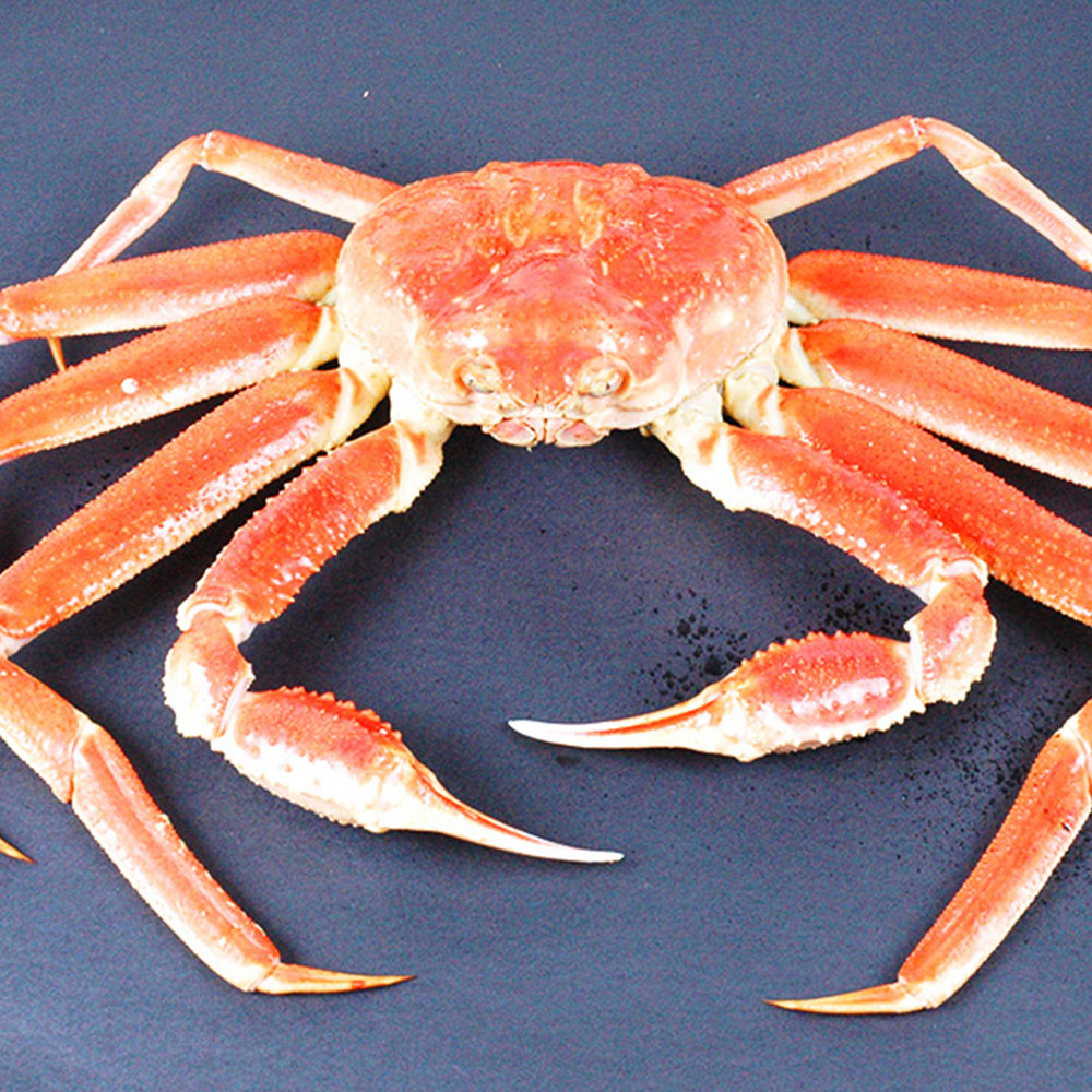 1687749995 thumbnail