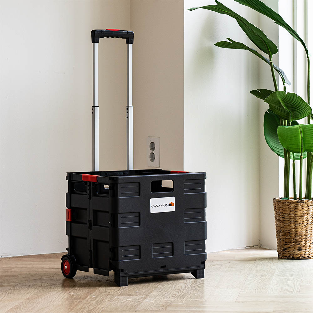 1687848694 thumbnail