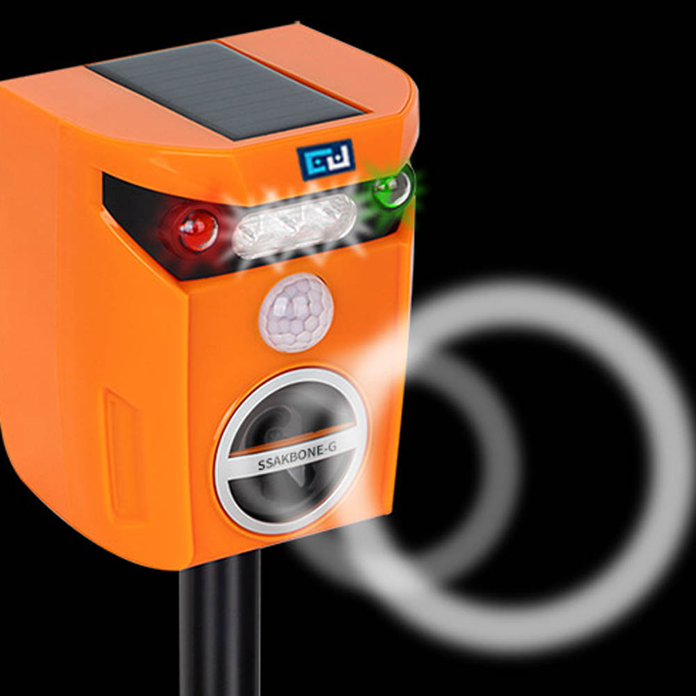 1687848733 thumbnail