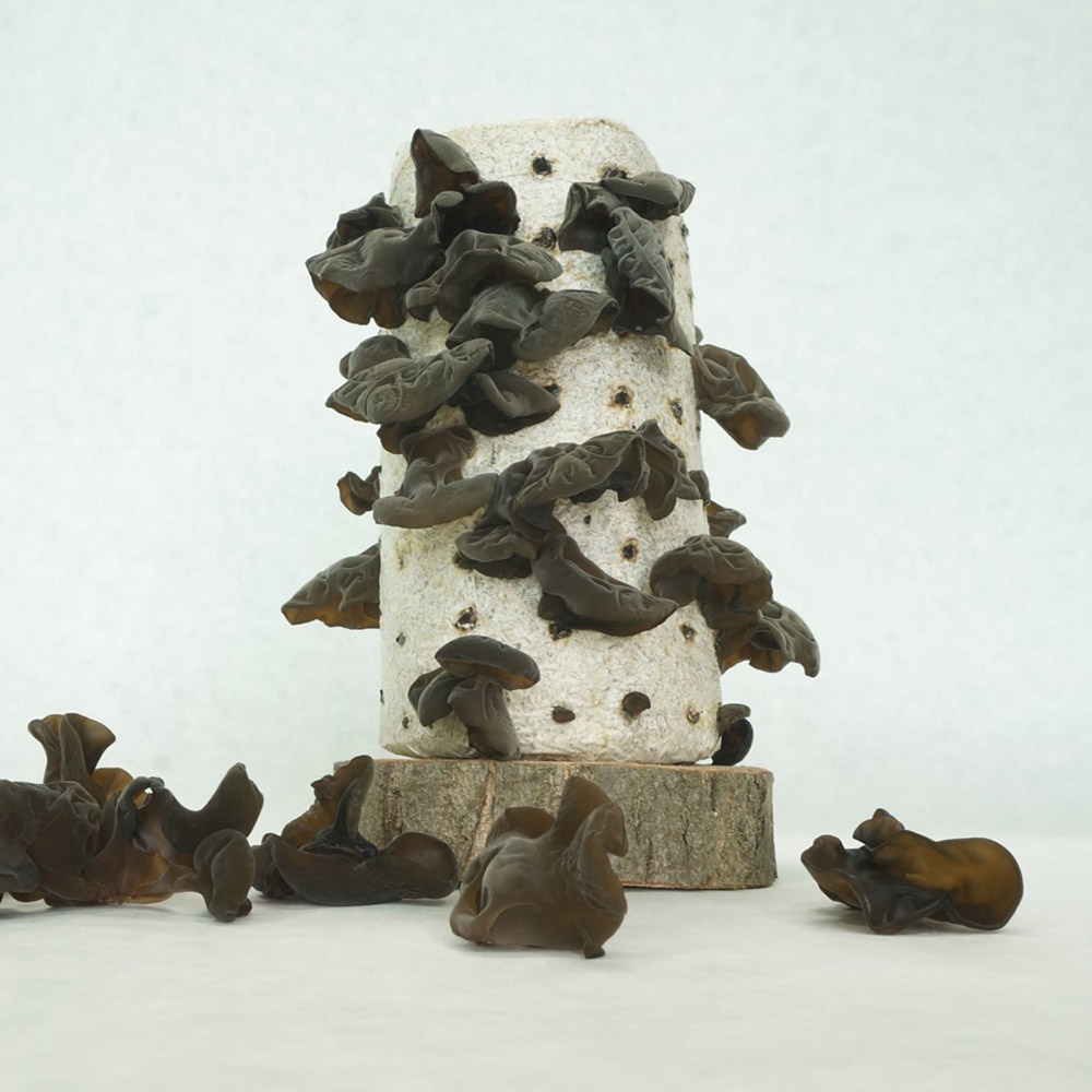 1687849351 thumbnail